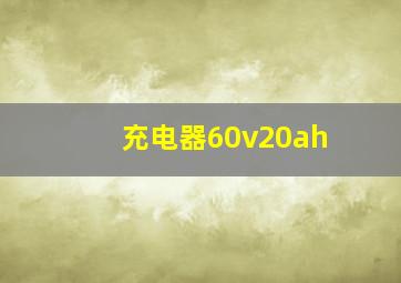 充电器60v20ah