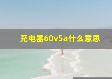 充电器60v5a什么意思