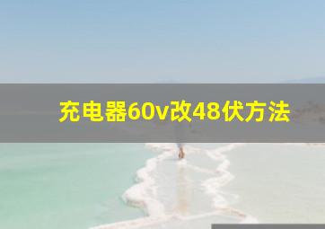 充电器60v改48伏方法