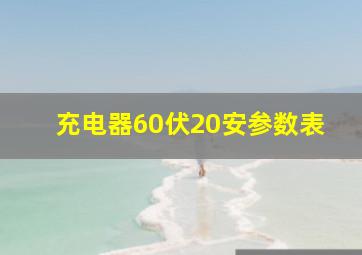 充电器60伏20安参数表