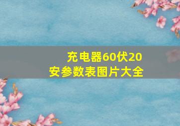 充电器60伏20安参数表图片大全