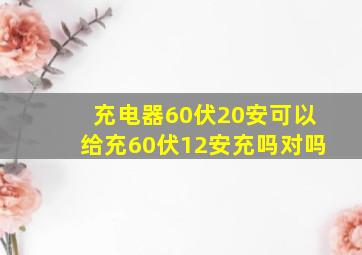 充电器60伏20安可以给充60伏12安充吗对吗