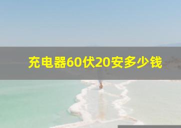 充电器60伏20安多少钱