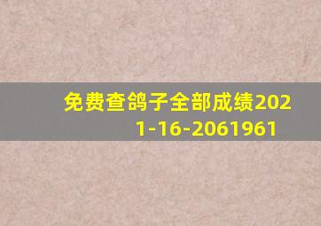 免费查鸽子全部成绩2021-16-2061961