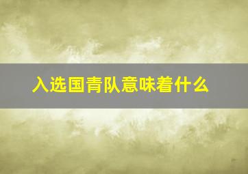 入选国青队意味着什么