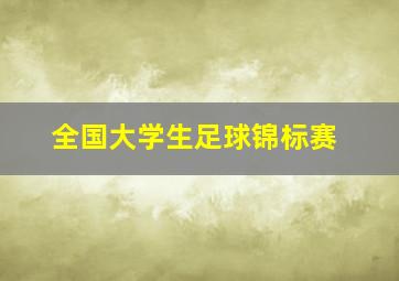 全国大学生足球锦标赛