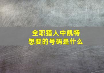 全职猎人中凯特想要的号码是什么