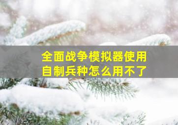 全面战争模拟器使用自制兵种怎么用不了