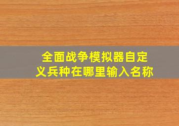 全面战争模拟器自定义兵种在哪里输入名称