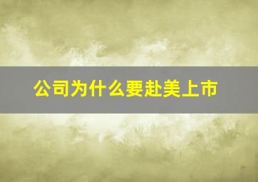 公司为什么要赴美上市