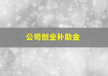 公司创业补助金