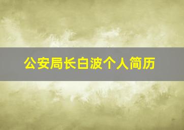 公安局长白波个人简历