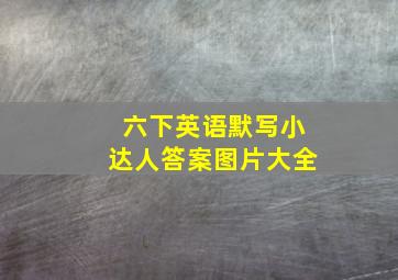 六下英语默写小达人答案图片大全