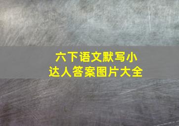 六下语文默写小达人答案图片大全