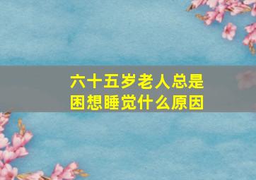 六十五岁老人总是困想睡觉什么原因