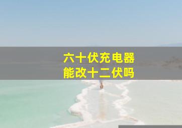 六十伏充电器能改十二伏吗