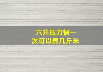 六升压力锅一次可以煮几斤米