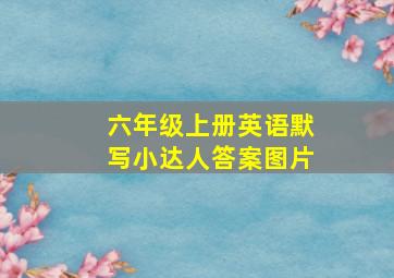 六年级上册英语默写小达人答案图片