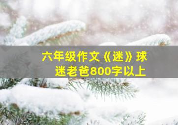 六年级作文《迷》球迷老爸800字以上