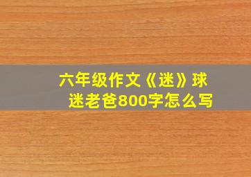 六年级作文《迷》球迷老爸800字怎么写