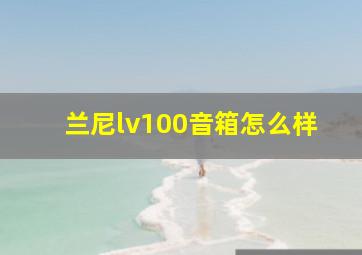 兰尼lv100音箱怎么样