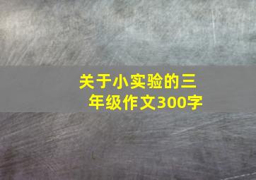 关于小实验的三年级作文300字