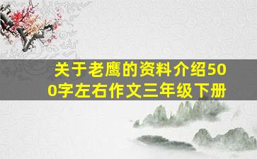 关于老鹰的资料介绍500字左右作文三年级下册