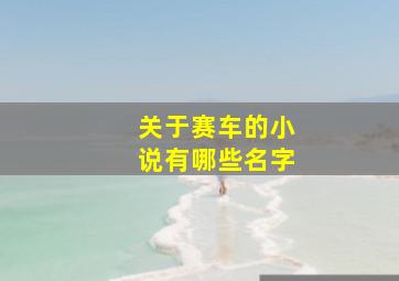 关于赛车的小说有哪些名字