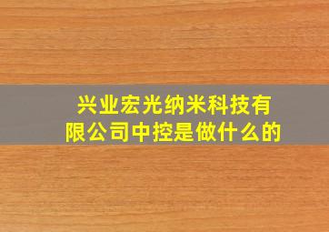 兴业宏光纳米科技有限公司中控是做什么的