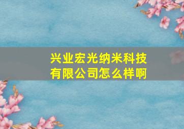 兴业宏光纳米科技有限公司怎么样啊