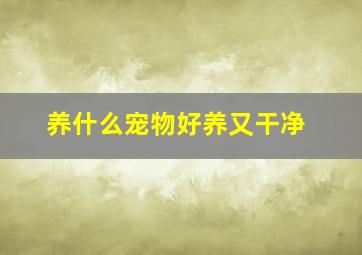 养什么宠物好养又干净