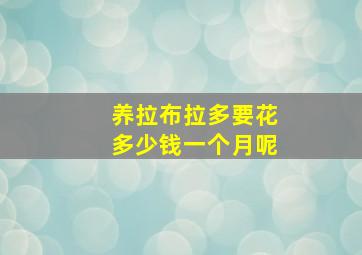 养拉布拉多要花多少钱一个月呢