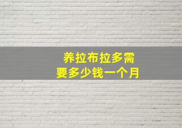 养拉布拉多需要多少钱一个月