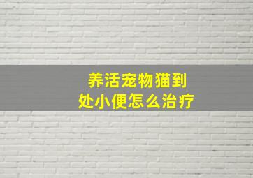 养活宠物猫到处小便怎么治疗