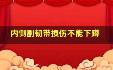 内侧副韧带损伤不能下蹲