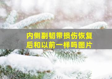 内侧副韧带损伤恢复后和以前一样吗图片