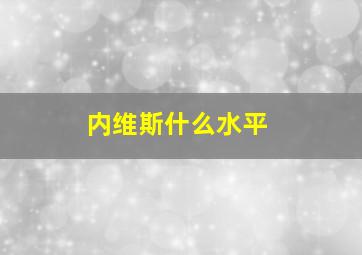 内维斯什么水平