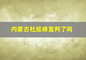 内蒙古杜延峰宣判了吗