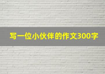 写一位小伙伴的作文300字