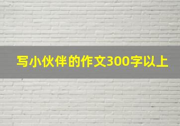 写小伙伴的作文300字以上