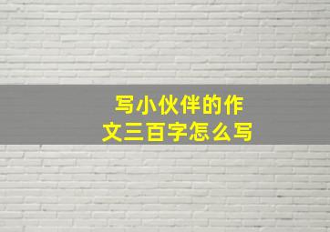 写小伙伴的作文三百字怎么写