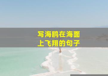 写海鸥在海面上飞翔的句子