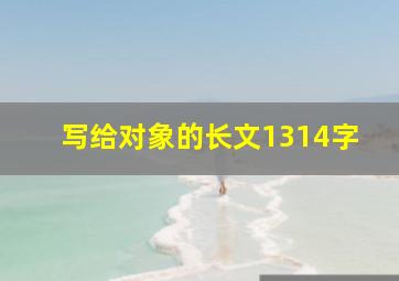 写给对象的长文1314字