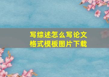 写综述怎么写论文格式模板图片下载