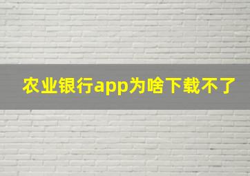 农业银行app为啥下载不了