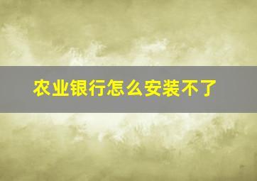 农业银行怎么安装不了