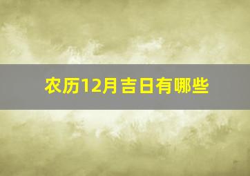 农历12月吉日有哪些