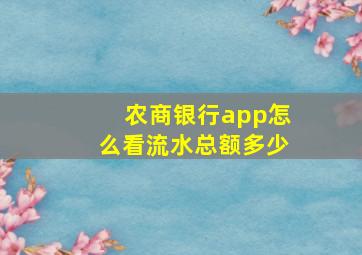 农商银行app怎么看流水总额多少