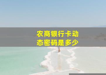 农商银行卡动态密码是多少