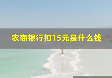 农商银行扣15元是什么钱